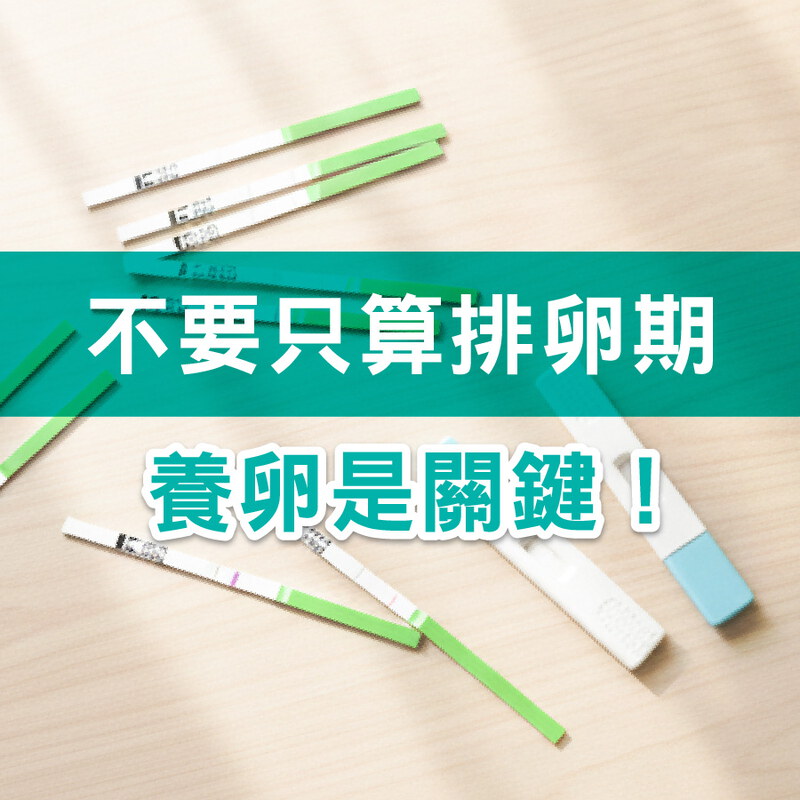 排卵期抓很準卻沒懷孕？很多人忽略「卵子品質」養卵才是關鍵！