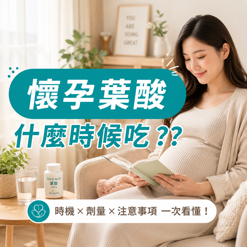懷孕葉酸什麼時候吃最好？孕媽咪必知補充時機與吃法重點