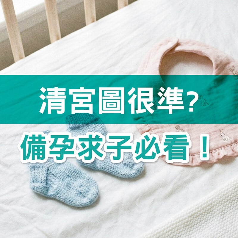 清宮圖2026怎麼看？虛歲、農曆月份一次算清楚｜完整解析