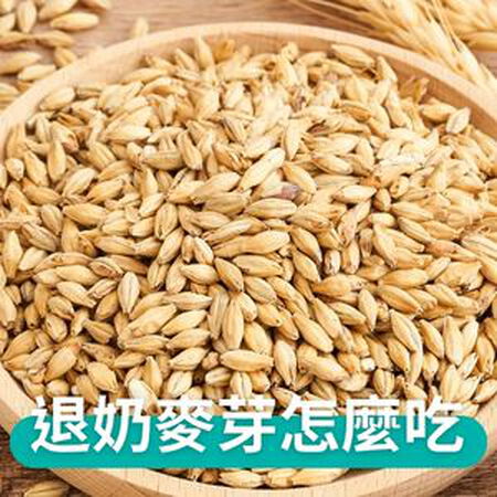 《計畫退奶必看》麥芽茶是什麼？大小麥、炒麥芽、黑麥汁功效大不同