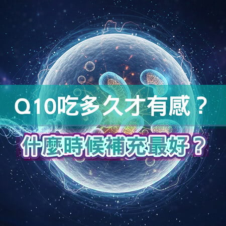 Q10吃多久才有感？備孕什麼時候補充最剛好？