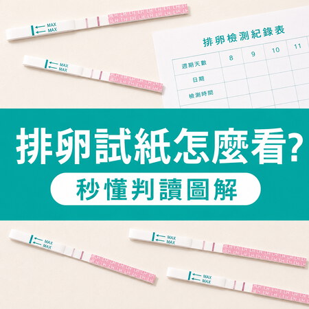 【圖解】排卵試紙怎麼看？強陽弱陽是什麼？ 教妳秒懂精準判讀，抓準做功課黃金時機！