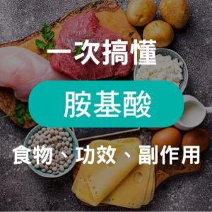 胺基酸功效是什麼?怎麼補充?食物來源、適合族群、副作用一次報你知