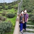 給媽媽的行動力保健食品...亞尼活力安固輪