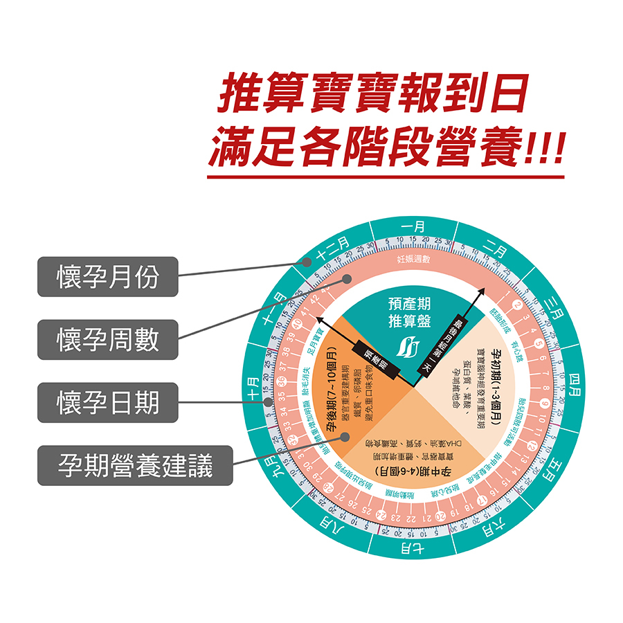 懷孕準備 順利懷孕 備孕 助孕 好孕盤 排卵期推算盤 孕期推算盤