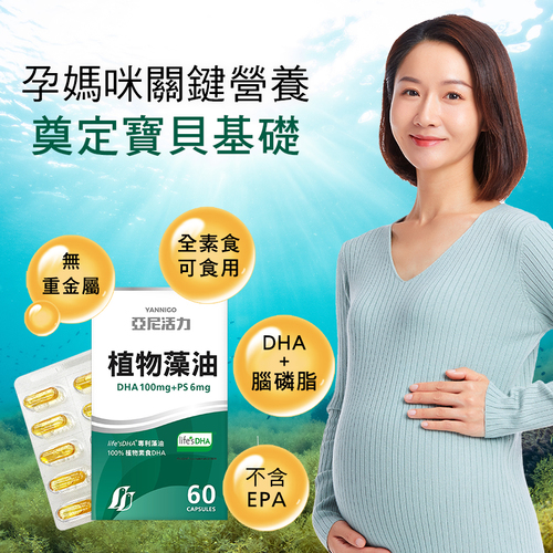 藻油DHA膠囊食品-孕婦DHA推薦