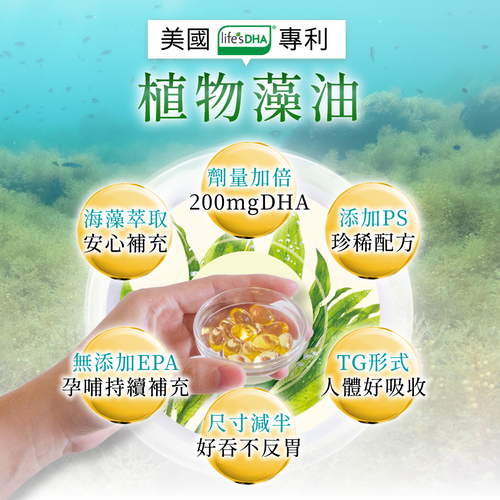 【孕婦DHA】植物藻油DHA+PS黃金雙配方-TG型藻油推薦