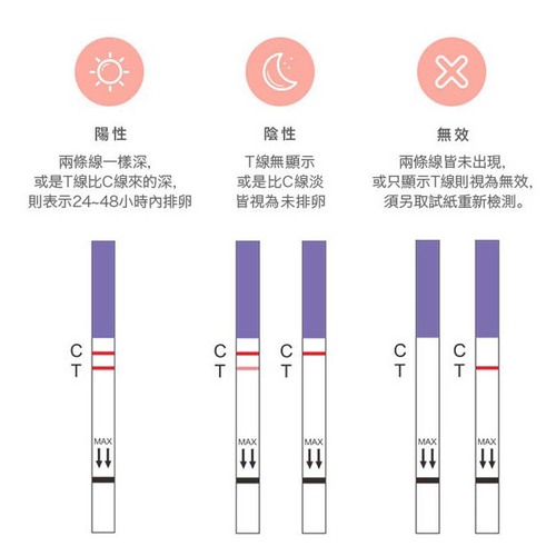 Dazzle戴洛排卵檢測試紙(15入盒裝)