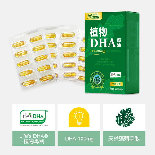 紐萊特植物藻油DHA素食膠囊+腦磷脂PS