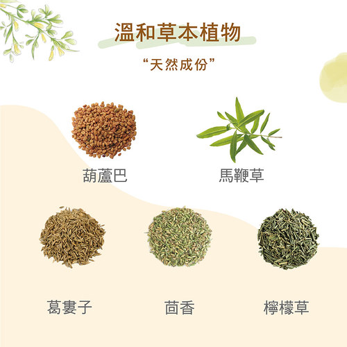 活力媽媽葫蘆巴茶-哺乳最佳茶飲