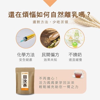 麥芽回汝茶