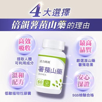 倍韻薯蕷山藥膠囊食品