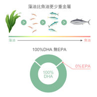 紐萊特植物藻油DHA素食膠囊+腦磷脂PS