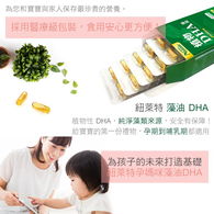 紐萊特植物藻油DHA素食膠囊+腦磷脂PS