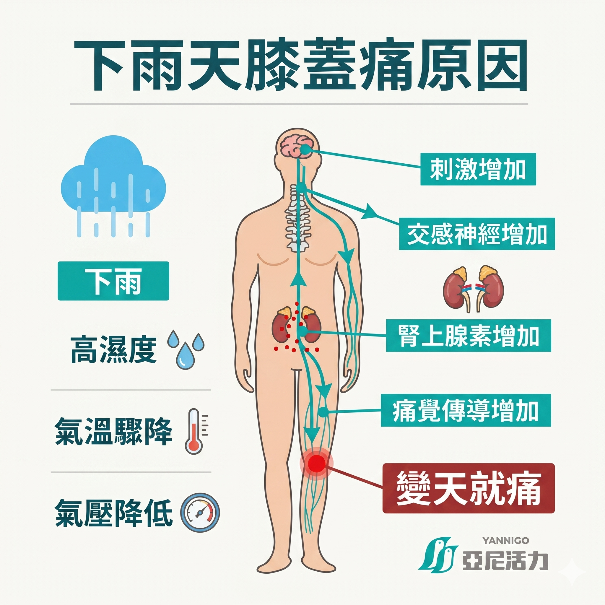 下雨天膝蓋痛 下雨天膝蓋痛