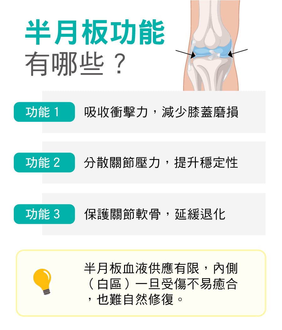 半月板功能有哪些
