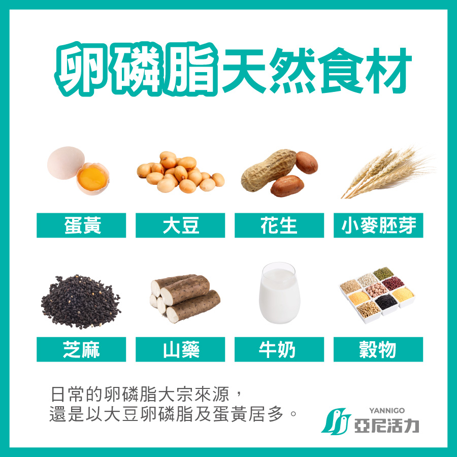 卵磷脂天然食材 卵磷脂天然食材