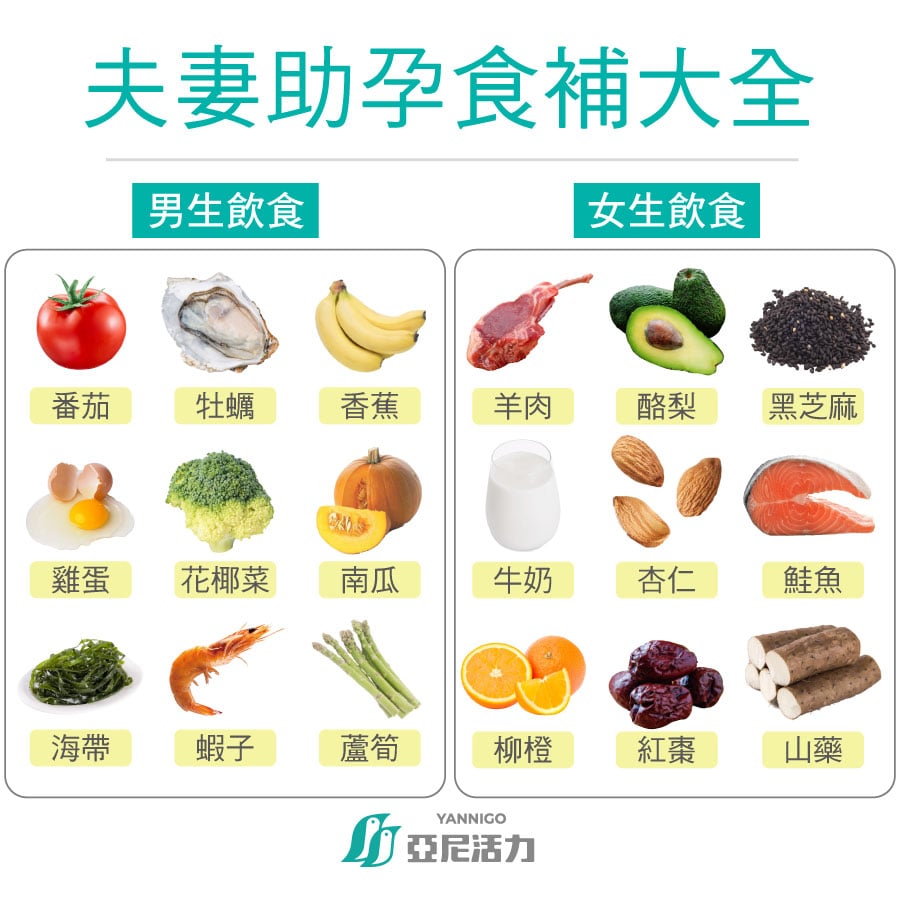 備孕吃什麼？夫妻助孕食補大全