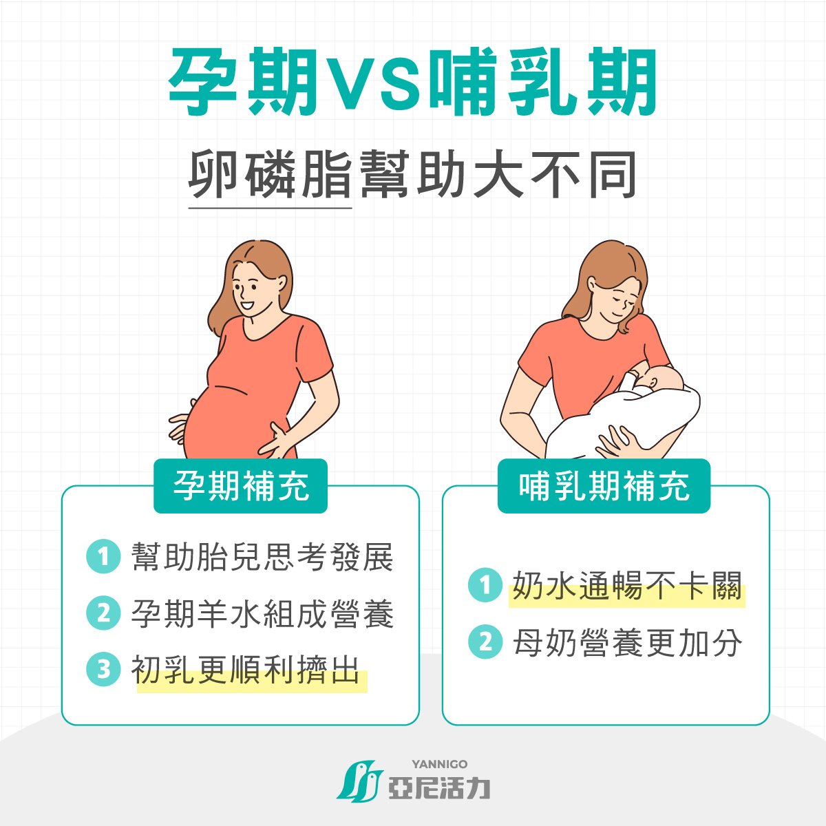 孕期與哺乳期要吃卵磷脂嗎