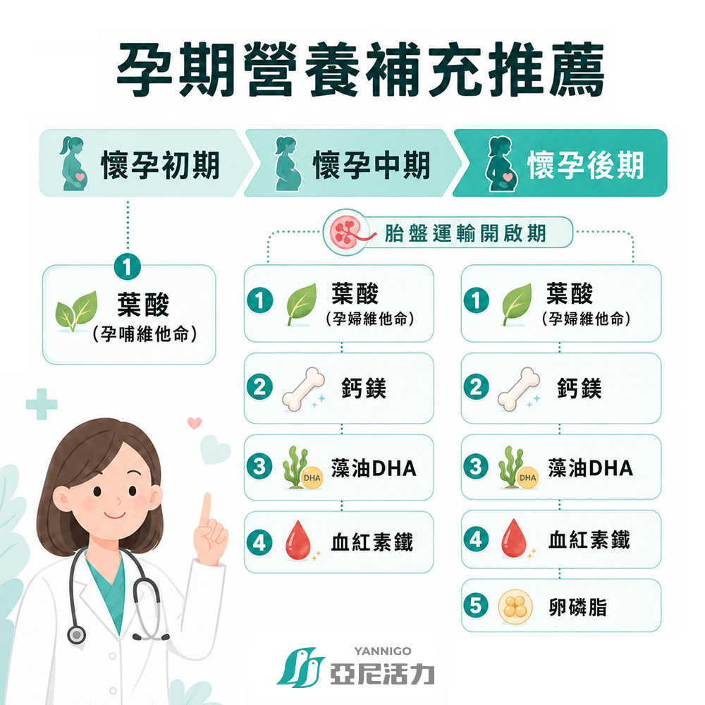 孕期營養補充推薦