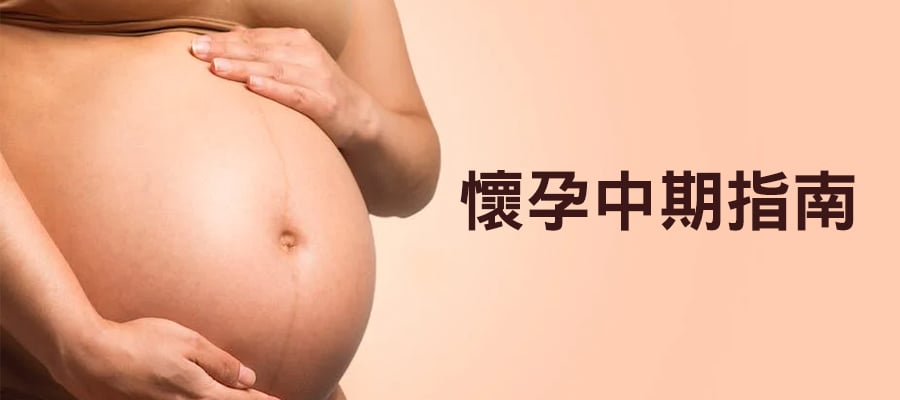懷孕中期營養指南大全