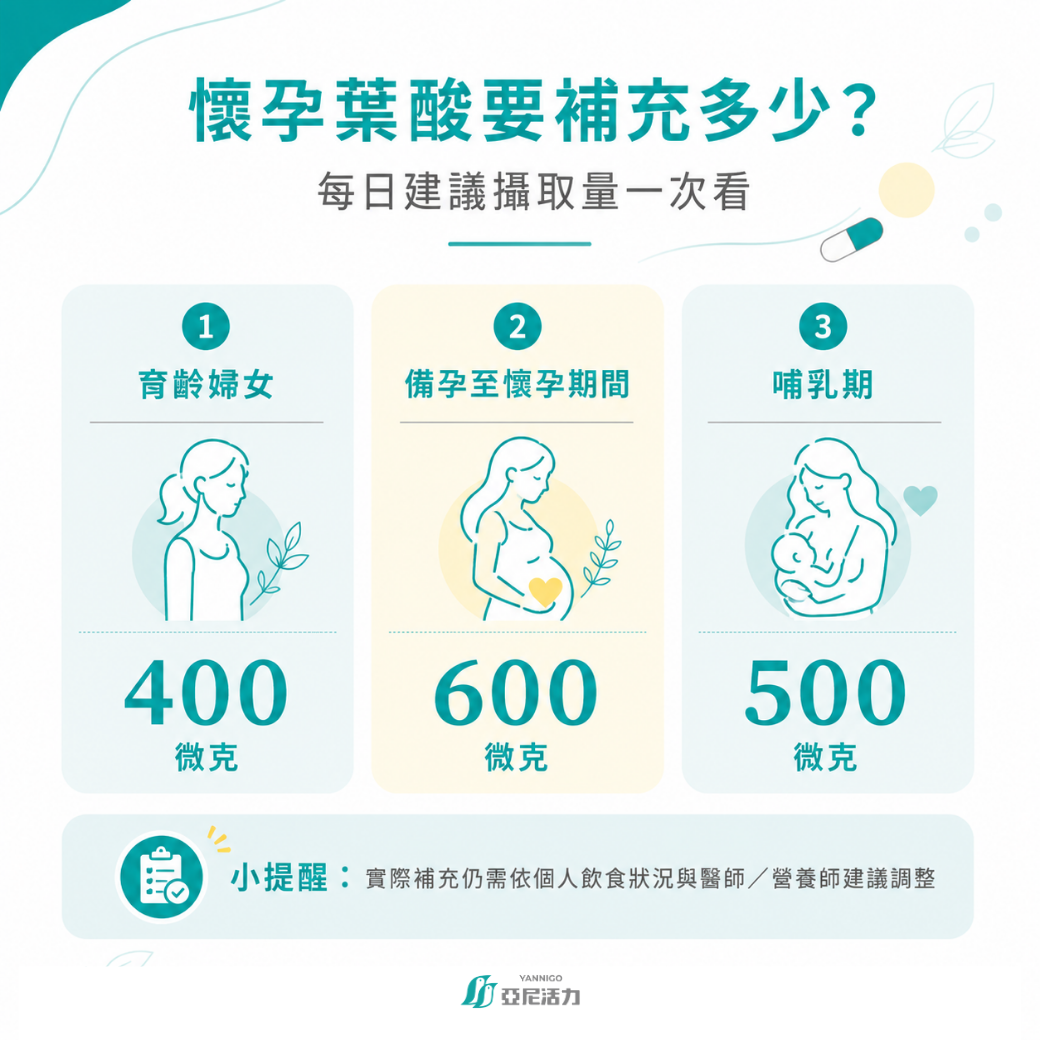 懷孕葉酸每日建議攝取量 懷孕葉酸每日建議攝取量