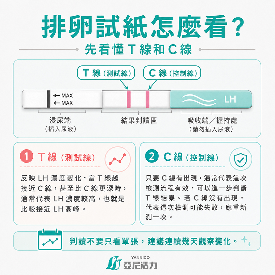 排卵試紙的T和C線的判讀表 排卵試紙的T和C線的判讀表