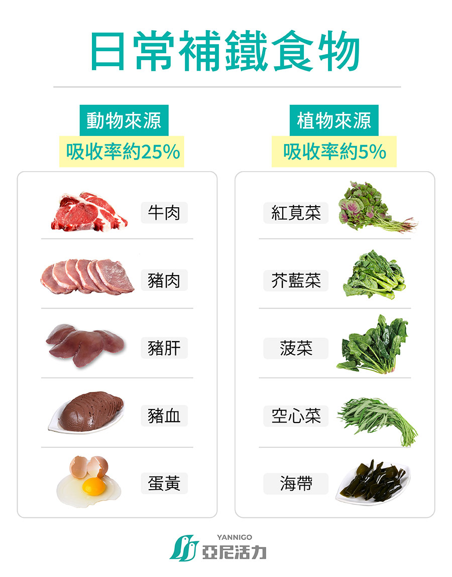 補鐵食物