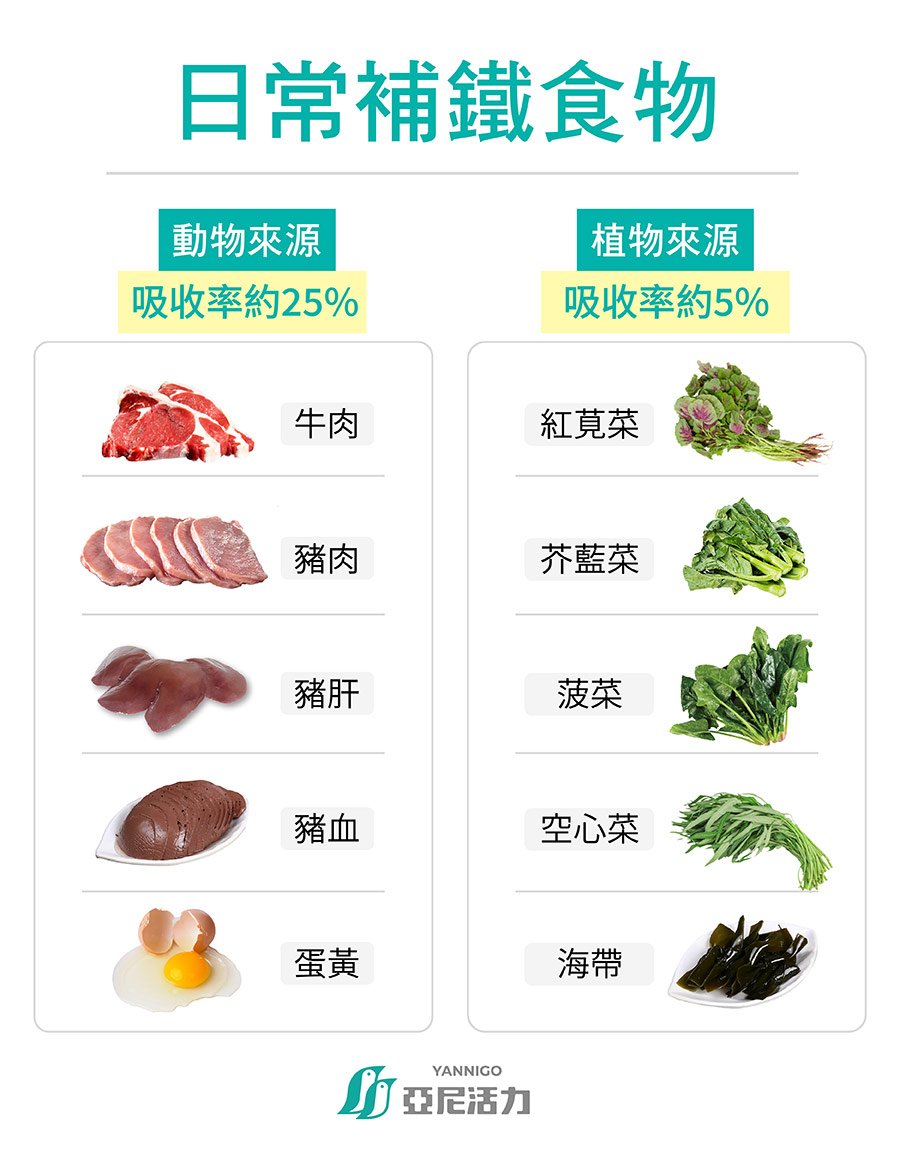 補鐵食物