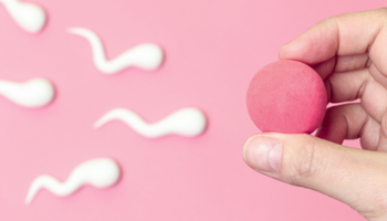 6大增加卵子品質的方法,懷孕前90天健康調養必看! 6大增加卵子品質的方法,懷孕前90天健康調養必看!