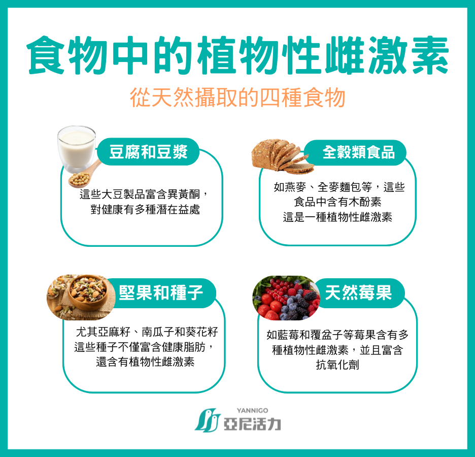 攝取植物性雌激素的食物