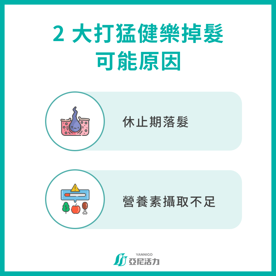 2大打猛健樂掉髮可能原因