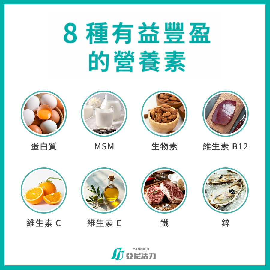 8種有益豐盈的營養素