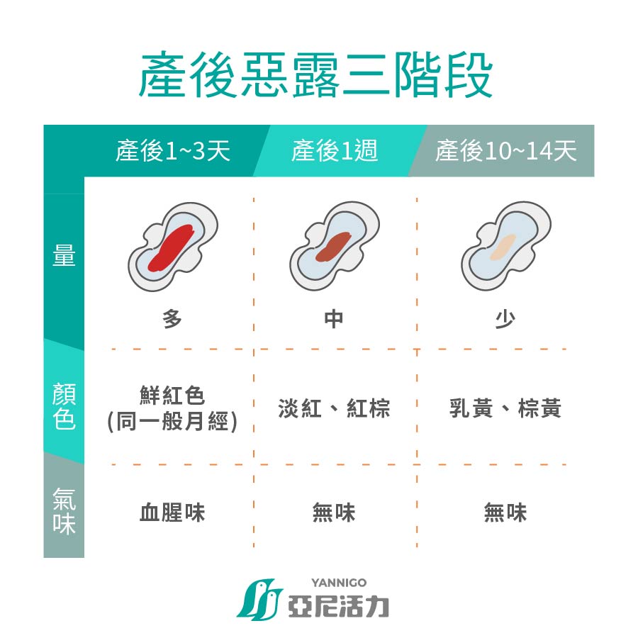 產後惡露、產後排血