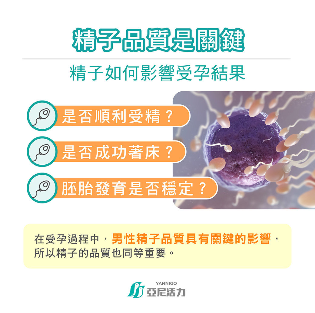 精子也是懷孕關鍵