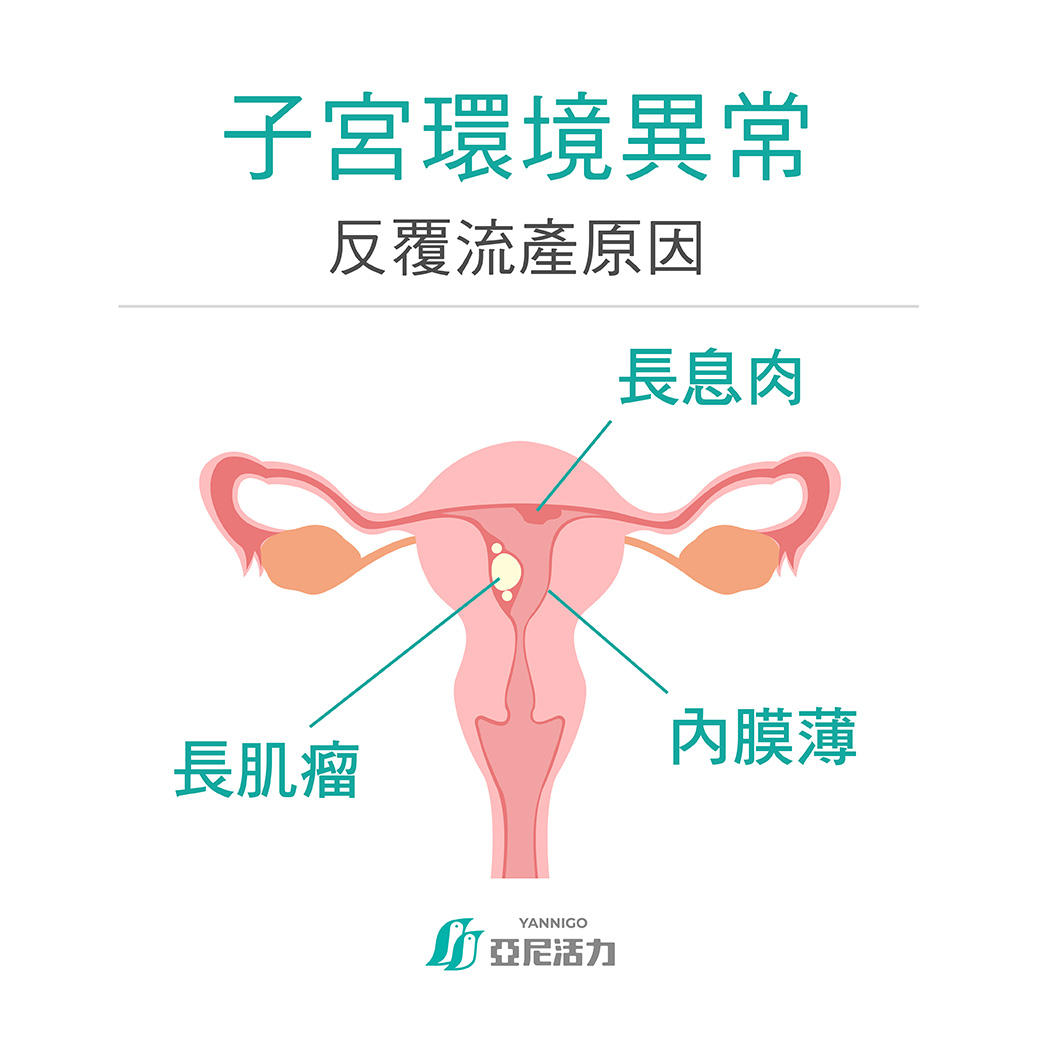 子宮與內膜環境異常 子宮與內膜環境異常