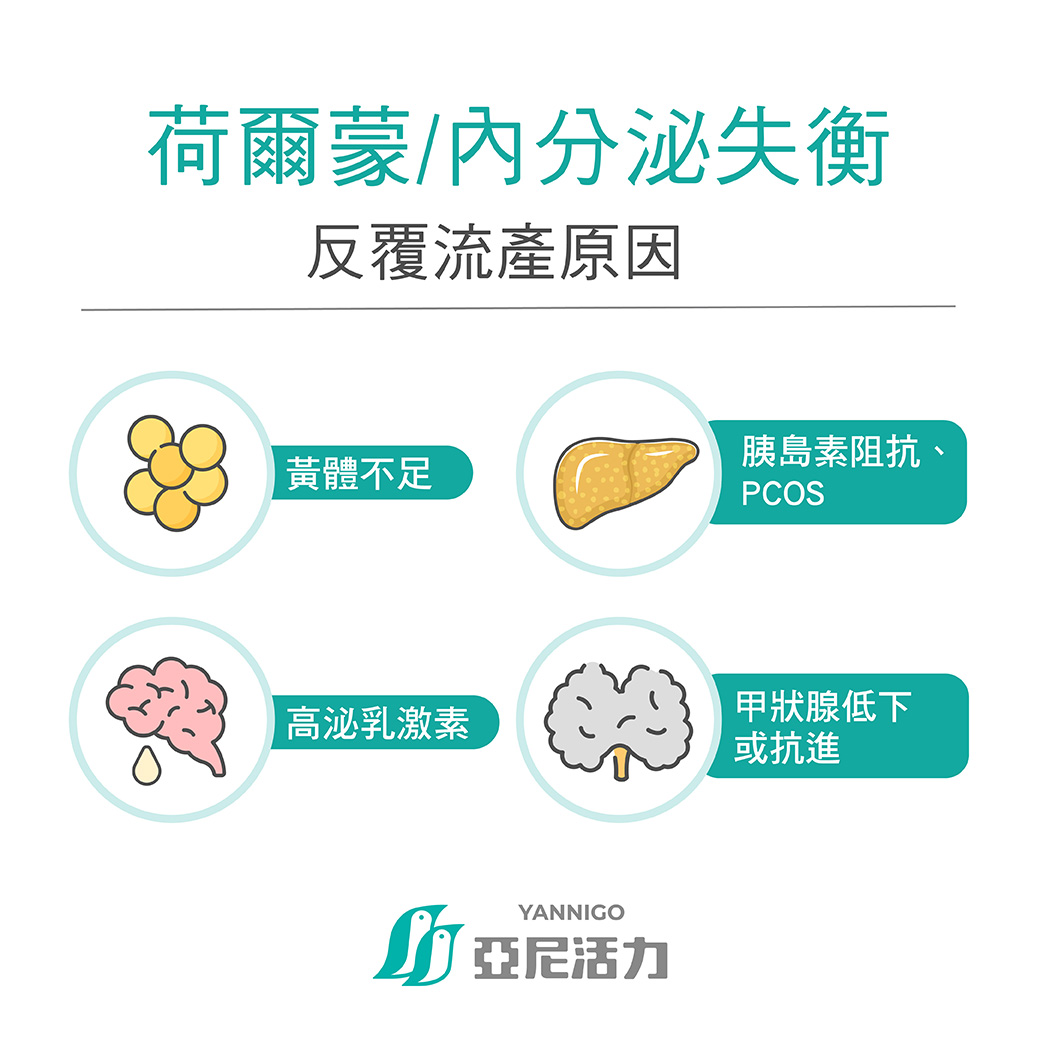 荷爾蒙/內分泌失衡 荷爾蒙/內分泌失衡