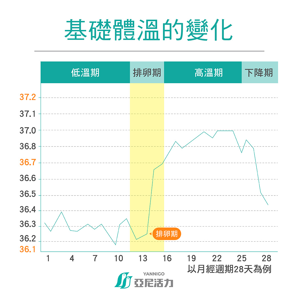 一個正常女生一個月的基礎體溫變化 一個正常女生一個月的基礎體溫變化