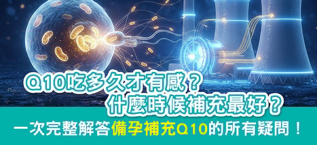 Q10吃多久才有感?備孕什麼時候補充最剛好? Q10吃多久才有感?備孕什麼時候補充最剛好?