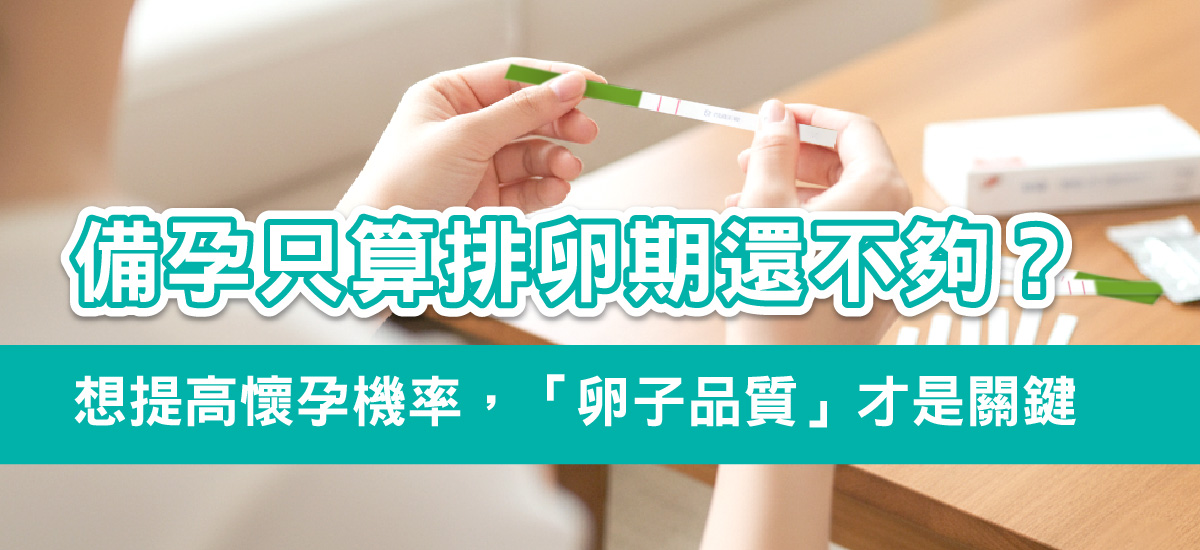 排卵期抓很準卻沒懷孕？很多人忽略「卵子品質」養卵才是關鍵！