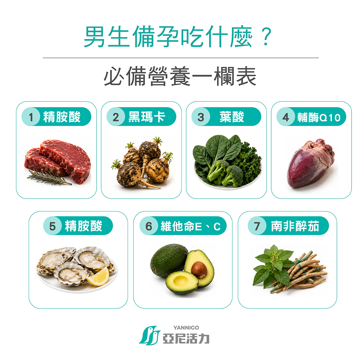 男生備孕期間適合補充的營養,以及日常可選擇的食物來源 男生備孕期間適合補充的營養,以及日常可選擇的食物來源