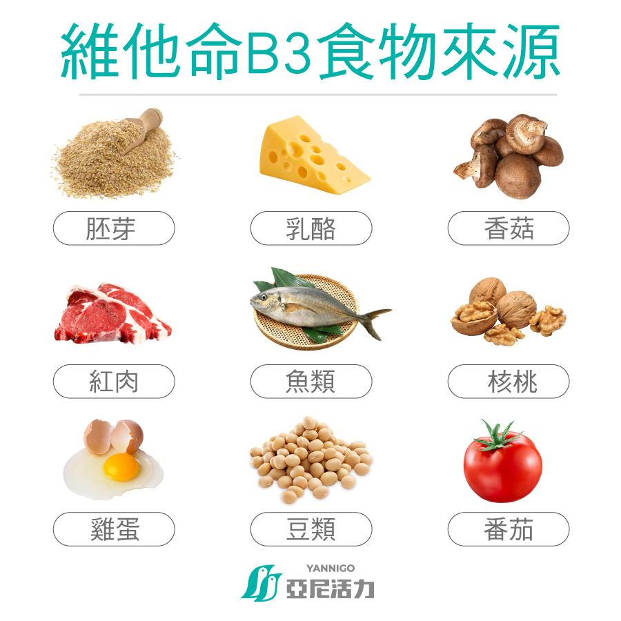 維他命B3食物來源