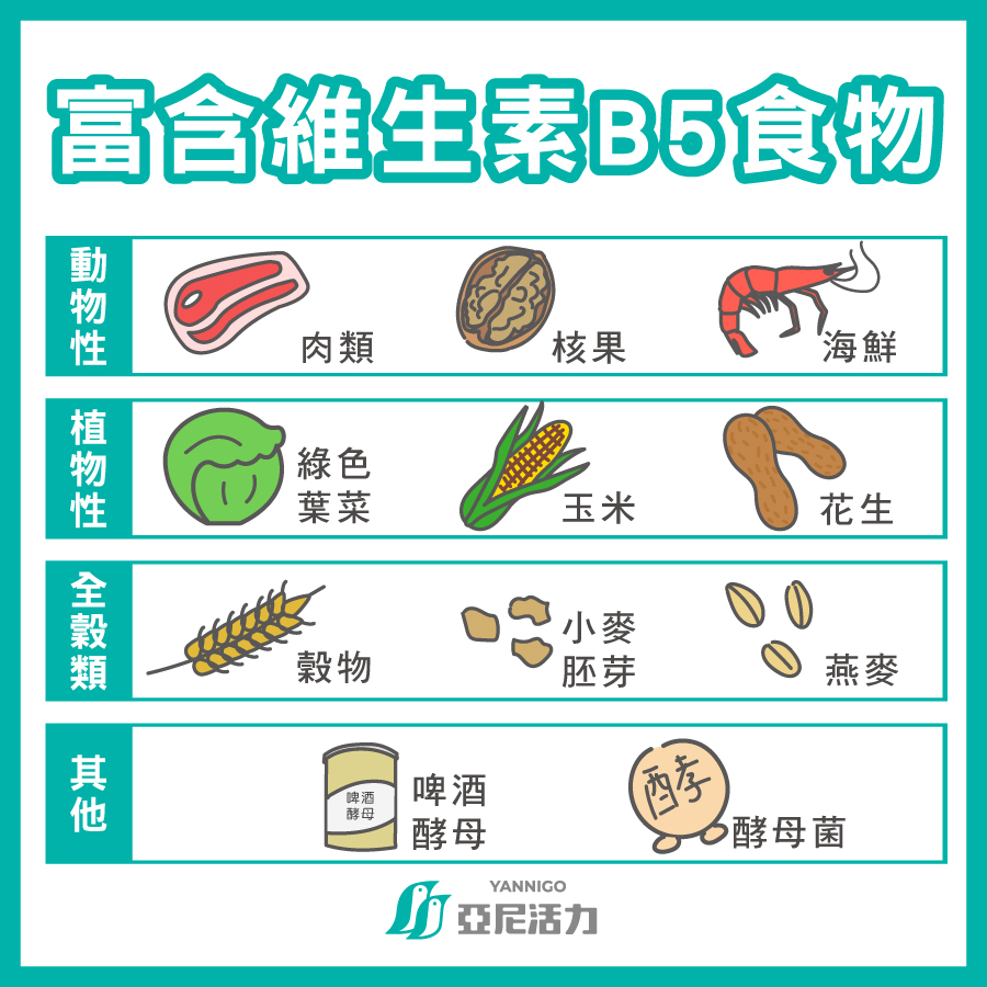 富含維他命B5食物