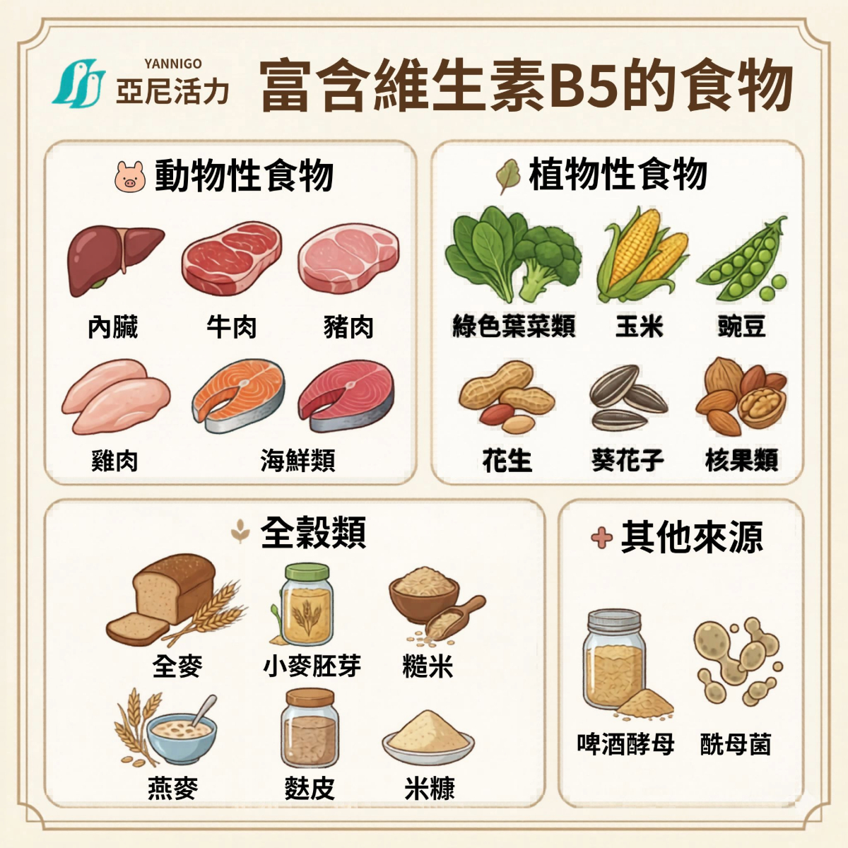 維生素B5 維生素B5