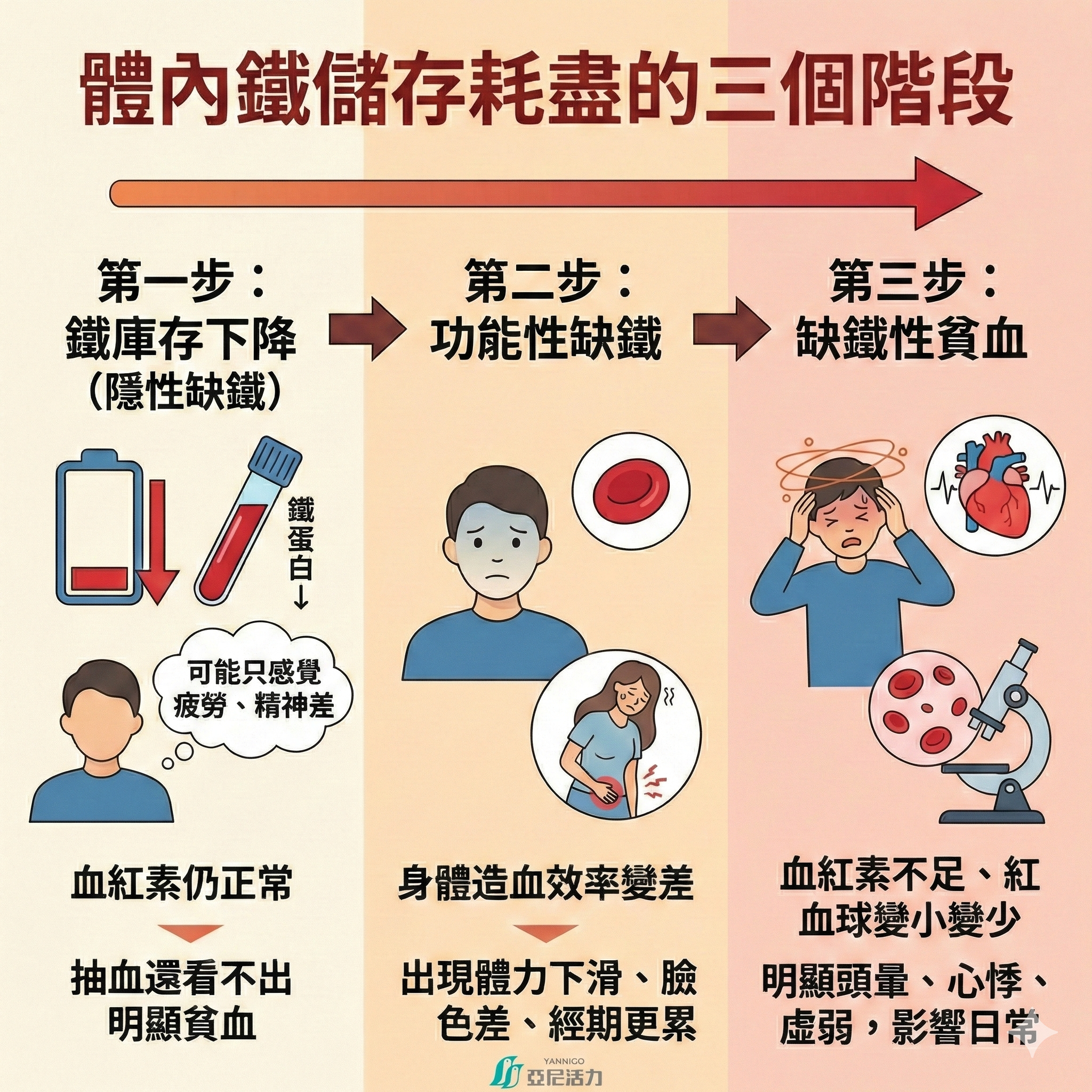 缺鐵3階段