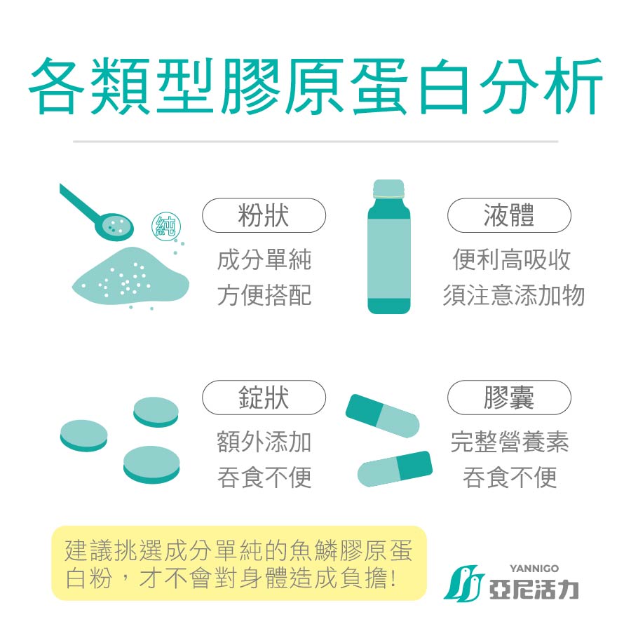 膠原蛋白型態分析