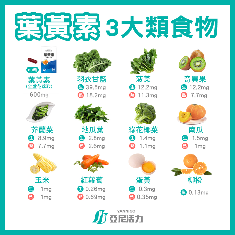 葉黃素三大類食物