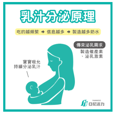 乳汁分泌原理