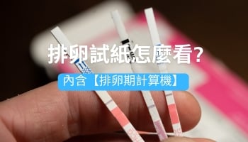 排卵試紙怎麼看