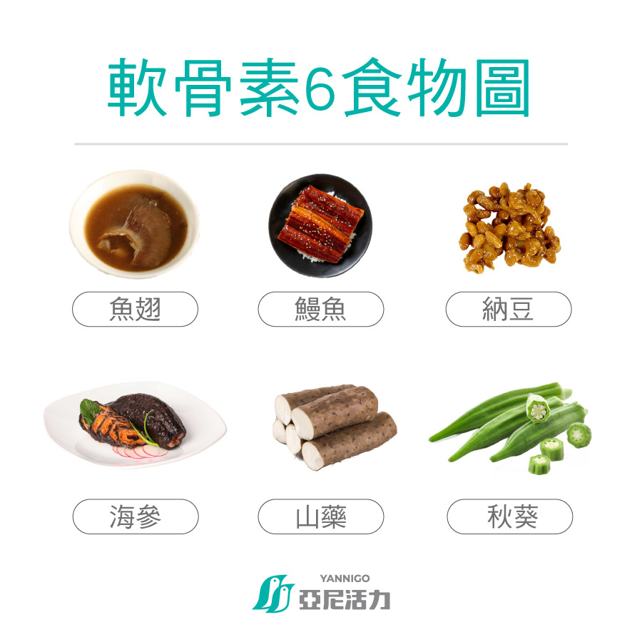 軟骨素6食物圖